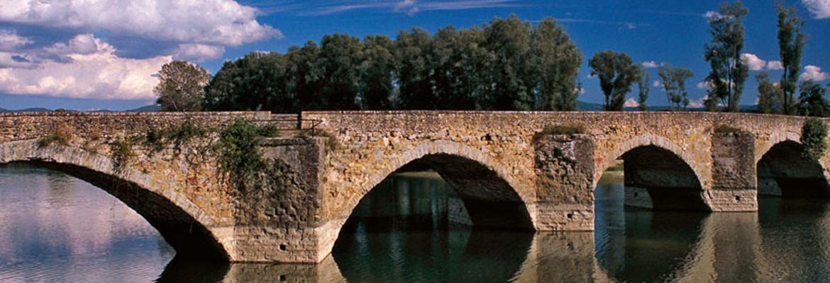 tenuta sette ponte tuscany producer