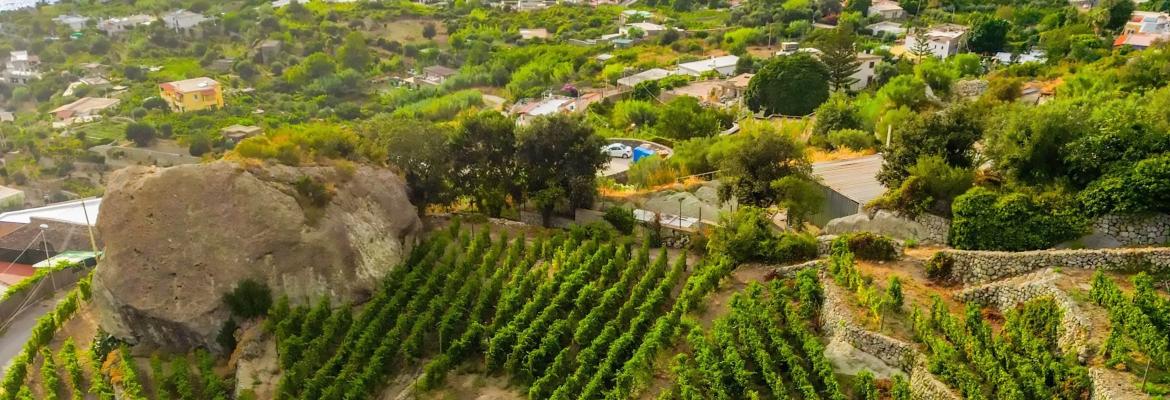 Costa delle Parracine website image