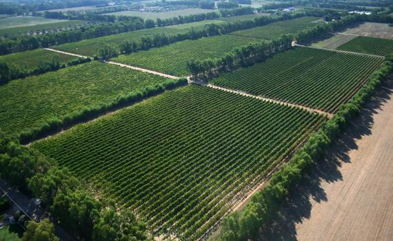 cantina Santa Maria La Palma website image 2